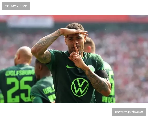 上赛季德甲球迷现场观赛人次突破四万三千人 平均上座率创新高